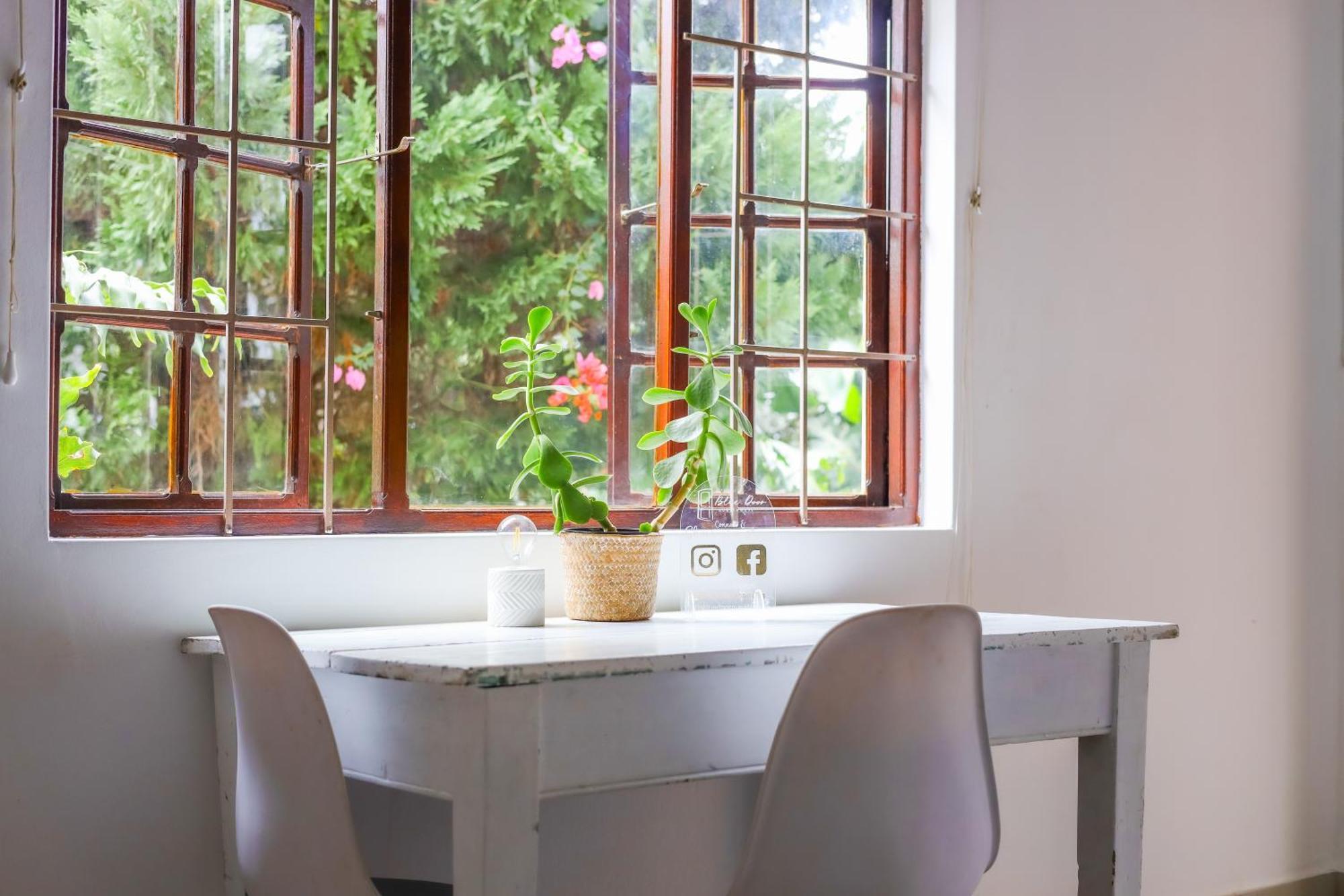The Blue Door B&B شرق لندن المظهر الخارجي الصورة